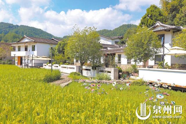 亲手采摘乡野风味 入住当地特色民居 到泉州乡野开启“土味之旅”