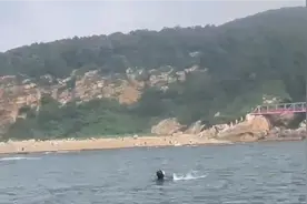 大连市民出海钓鱼，发现海里露出一个脑袋图片