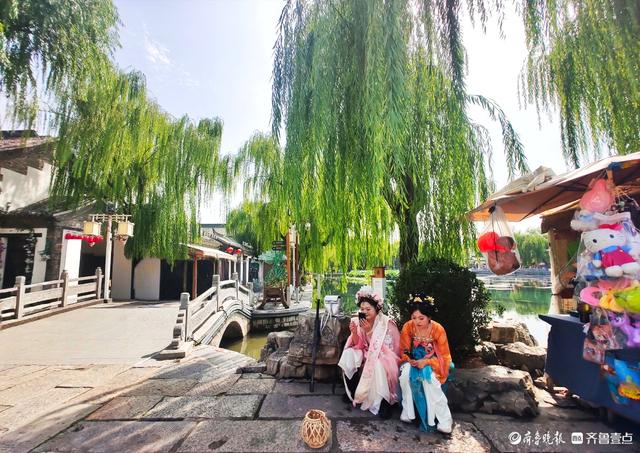 明湖垂柳曼妙多姿，游人如织景致如画