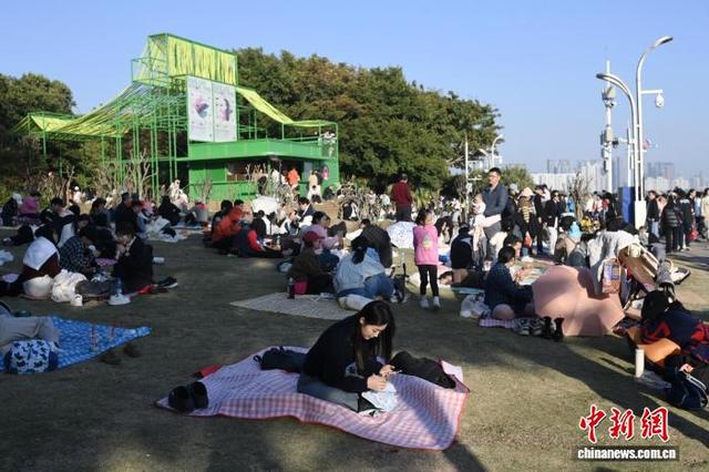 广东深圳天气晴好 民众享受冬日时光