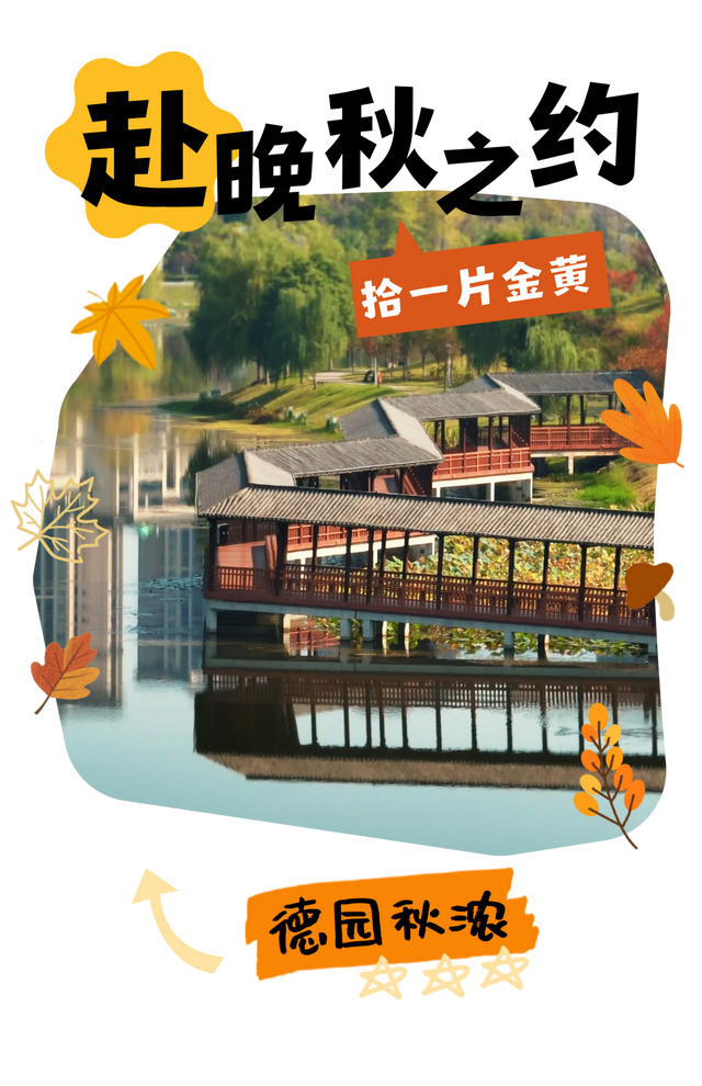 仪陇的秋天很美啊!