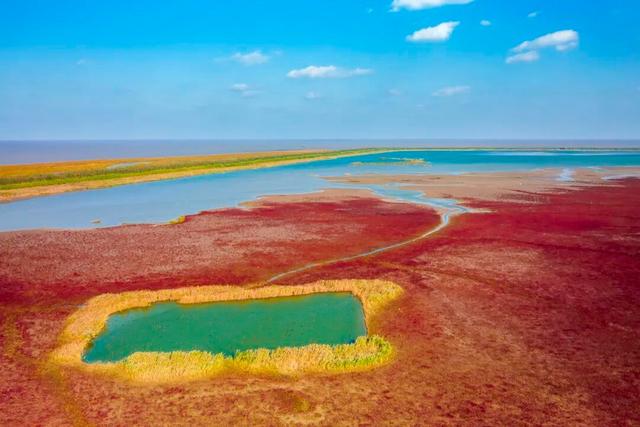 辞家千里又千里，盐城想你很想你