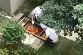 成都有人在捞地沟油？ “督哥”带你现场辟谣｜云辟谣图片