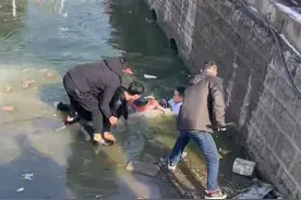 俩小学生意外跌落冰窟，聊城好心人跳入冰水接力施救图片
