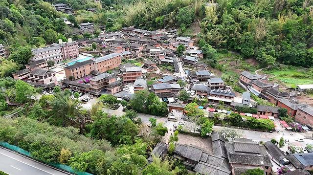 暑期文旅消费升温 那柯里茶咖体验受游客青睐