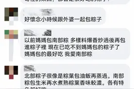 这有几个台湾粽子想跟大家认识一下图片