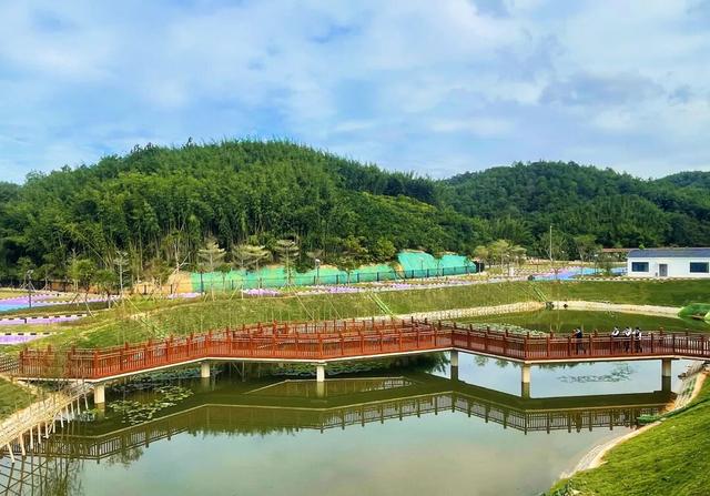 这个红色展览24小时不打烊！