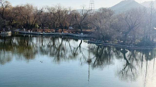 新视界｜泉城公园：冬日落木亦风景