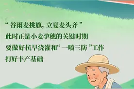 谷雨丨雨生百谷，万物逢时图片