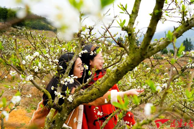 春暖，共赴花海