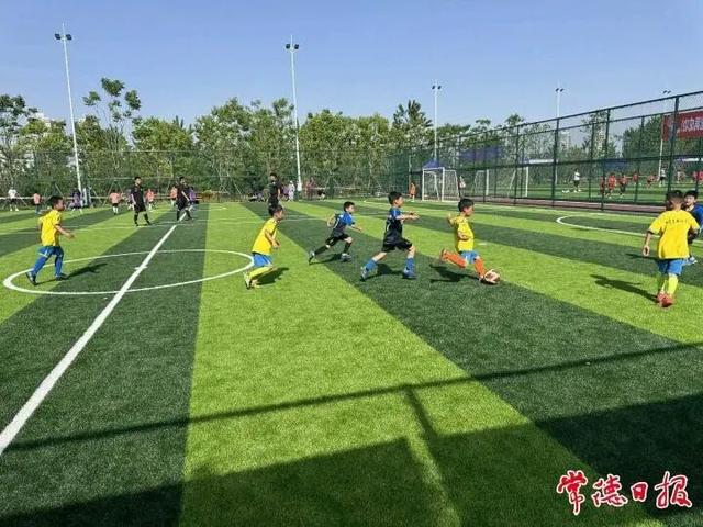 鼎城区：农文旅融合激发新活力