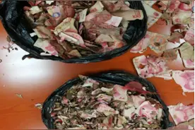 中行残损币兑换暖人心图片