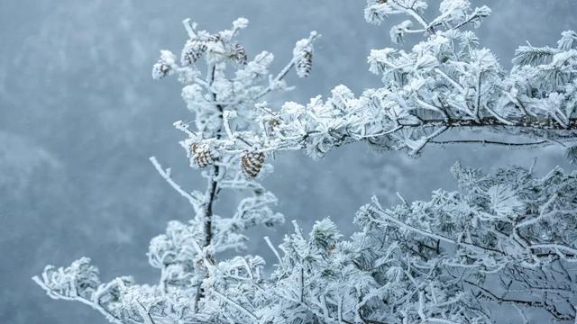 错过等一年！这个冬天，来嵩县“嗨皮”一圈！