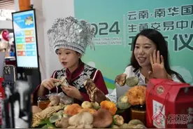 楚雄州“菌乡之星”野生菌美食节直播带货专场活动举行图片