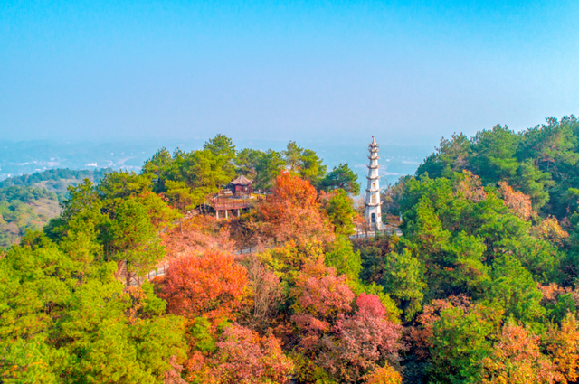 丰收宴、打糍粑 、85折券逛吃...长沙县首届徒步健身走报名启动→