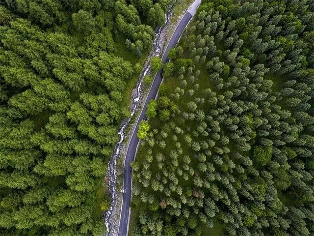 【地方荣誉】雅安两县上榜！2025中国最美县域榜单出炉