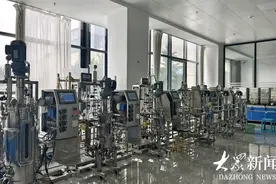 云话山东｜身价翻几十倍，一粒玉米的“变形记”图片