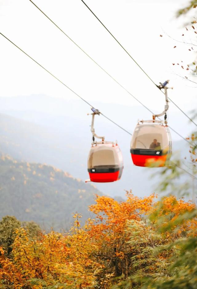 秋假必冲！瓦屋山免门票赏秋，徒步挑战拿奖牌！