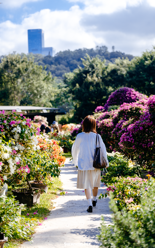 挤爆莲花山！深圳20万m²超大型花展，今天开始
