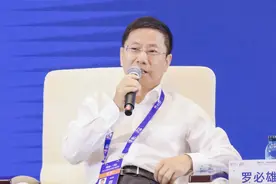 聚焦2024数博会｜中国电力工程顾问集团有限公司党委书记、董事长罗必雄：积极创建算力资源和电力资源高度融合、高效协同的新模式图片