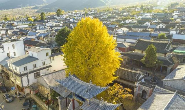 居住在这里，原来如此不同……