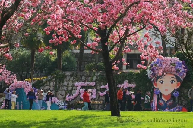 石林已被繁花拥裹,这份赏花攻略请收好