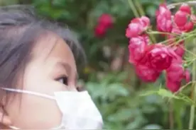 长沙一小学开设“植物治疗室”，学生和花草“对话”缓解压力图片