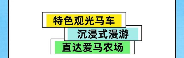 中国马镇国庆攻略新鲜出炉！不走冤枉路，赶紧码住！