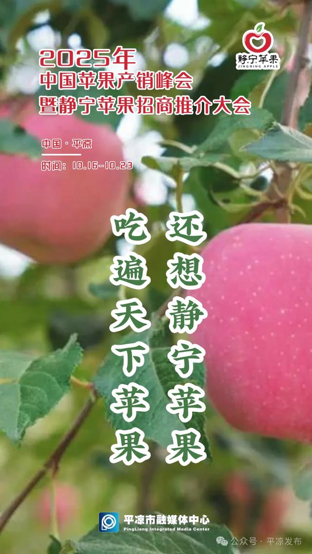 秋色韵染画卷新 平凉国庆次日文旅活动异彩纷呈