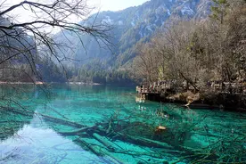 九寨沟、自贡灯会等景点大年初三门票已售罄图片