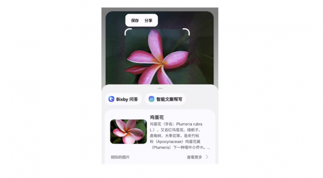 效率革新！三星Galaxy AI你的全能伙伴，让工作创作更自在