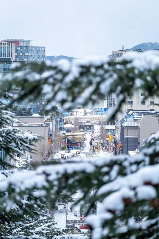 去什么北海道，冬日里的威海不是“平替”，是天花板！