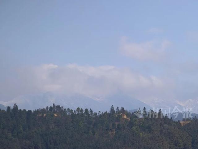 有执念！柳州这个森林公园变身“冰雪王国”，紧急封路也要走上去！