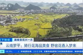 骑行花海、油菜花美食...云南罗平赏花经济火热！旅游收入超14亿元图片