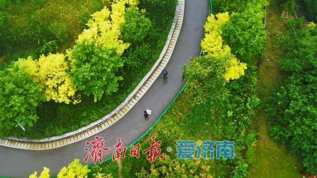 济南茂岭山公园：雨后秋景如画 市民邂逅清新诗意