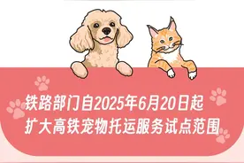 小猫小狗坐高铁，新增20座车站！图片