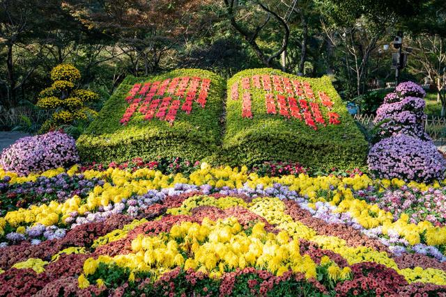 2025年岳麓山第19届红枫季焕新登场，四大主题活动解锁文旅盛宴