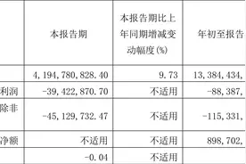 海立股份：2023年前三季度亏损8838.75万元图片