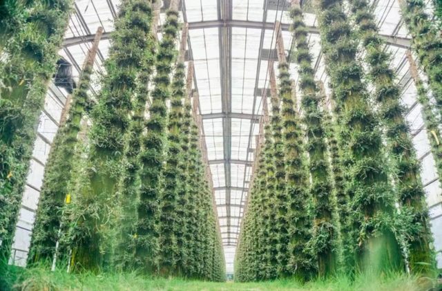 邂逅江南秋冬之美，浙江推出20条秋冬季乡村旅游精品线路