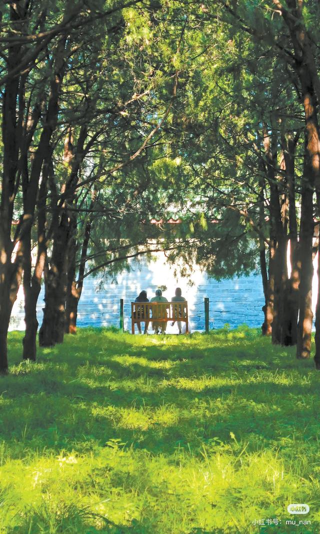 在地坛看“海”、访丹柿小院，年轻人为何热衷在京城“访古寻迹”