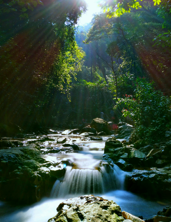最近，星湖美景亮相广州！你发现了吗？