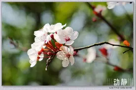最高31℃，最低2℃！贵阳气温要“淬火”图片