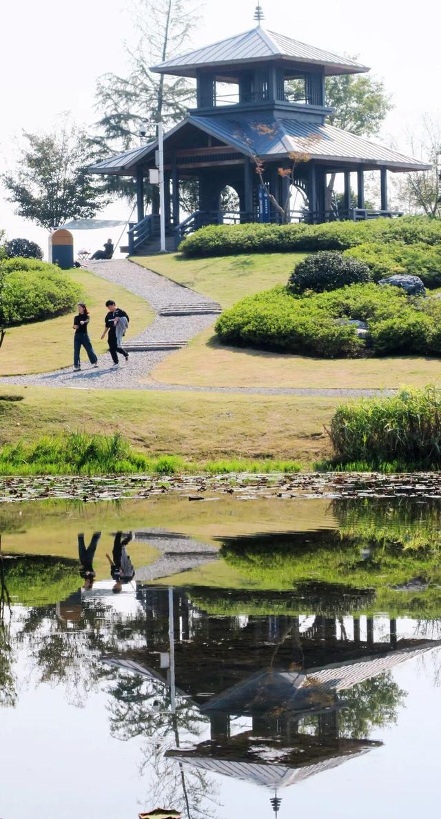 大武汉一日 | 银杏美翻了，就在武汉这里