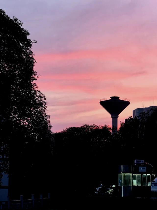 最好的秋天，在华师！