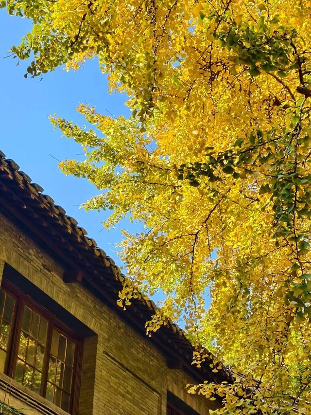 当代人需要的情绪价值，镇江给你！