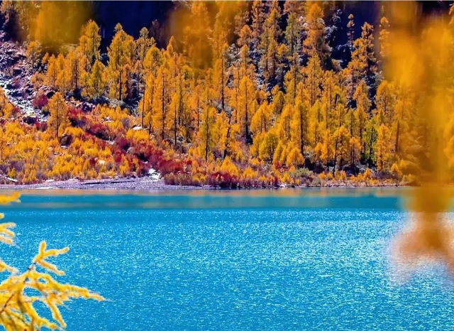 红红红了！红叶最佳观赏期已至！游玩安全记心中→