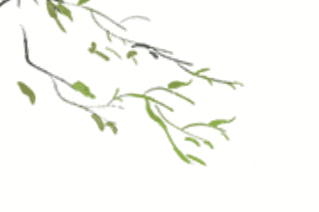 来漾濞的十个理由！每个都很好……