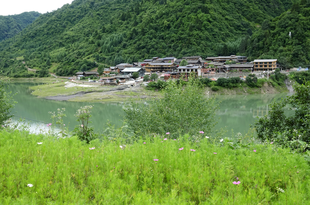 乐游绵阳 清凉一夏 ‖ 立秋已过，平武多了几分“姿色”！云海、花海、森林与田园的诗意交响~