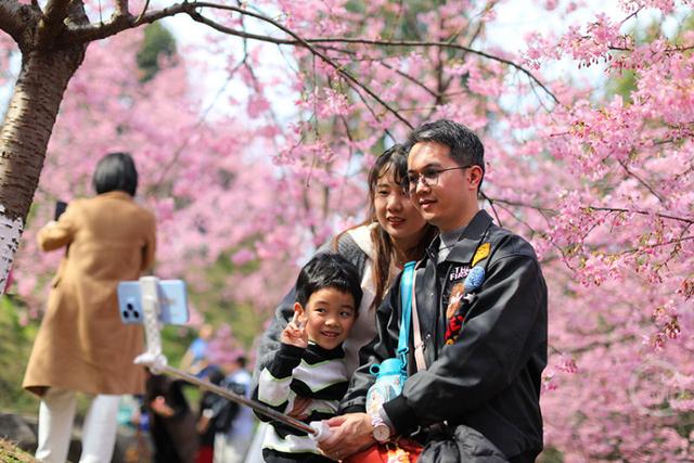 红粉相间春似锦 花海人潮共春光