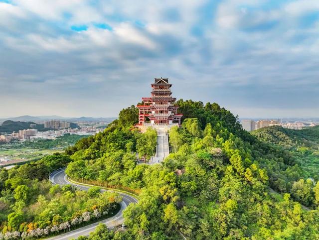 烟花、篝火、倒数……里水公园新玩法，元旦走起→